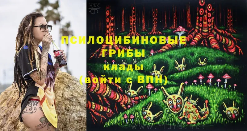 Псилоцибиновые грибы Psilocybe  Одинцово 